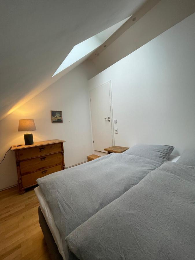 Schoene Apartments Auf Dem Weingut Schaetzel 尼尔斯泰恩 外观 照片